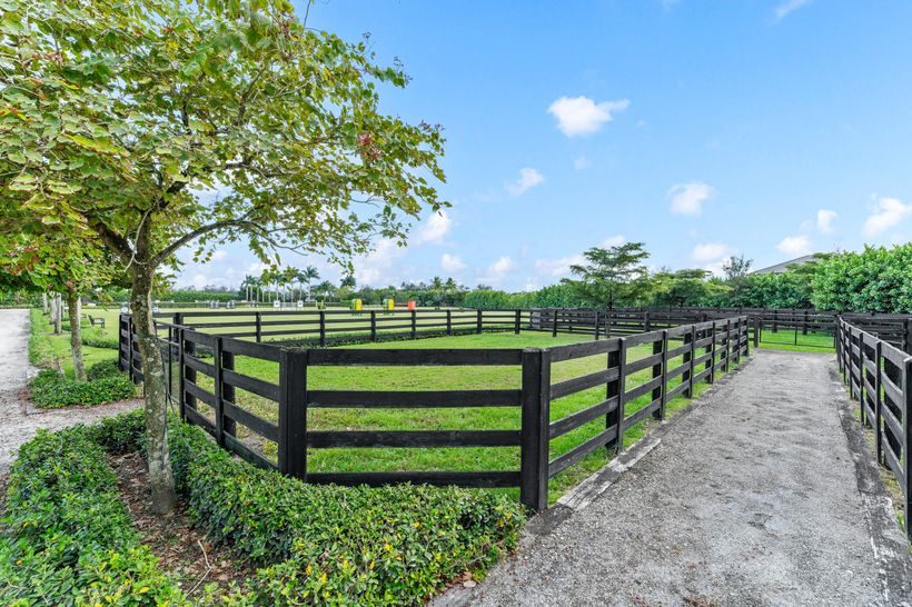 Manicured paddocks
