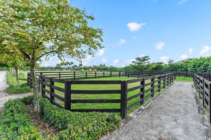 Paddocks and grounds